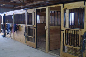 Equestrian Buildings Interior Photos